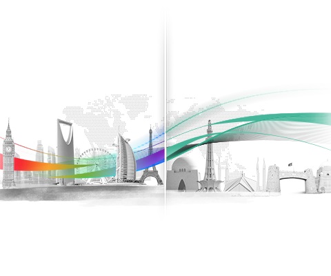 Roshan Digital Account (RDA)